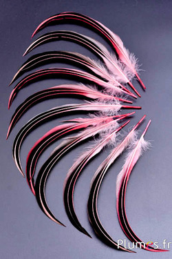 Canard Mandarin - 15-20 cm - rose